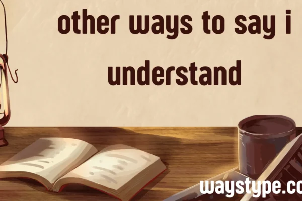 other ways to say i understand
