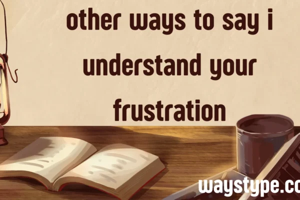 other ways to say i understand your frustration
