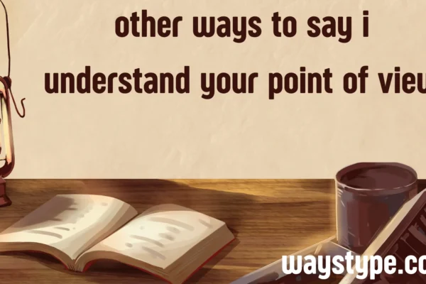other ways to say i understand your point of view